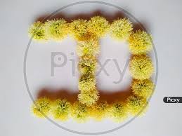 See more ideas about alphabet, alphabet wallpaper, . Image Of Letter D Alphabet Vr472731 Picxy