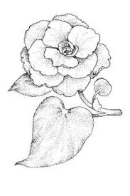 Downloading the flower coloring page is a simple way to make busy a noisy little girl! Flowers Coloring Pages Realistic Coloring Pages Color Flowers