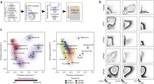 We did not find results for: Single Cell Developmental Classification Of B Cell Precursor Acute Lymphoblastic Leukemia At Diagnosis Reveals Predictors Of Relapse Nature Medicine