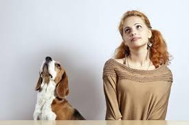 7 cosas que nos distinguen como seres humanos dentro del reino animal - VIX