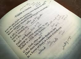 Poppies In October Sylvia Plath Sylvia Plath Words The Bell Jar