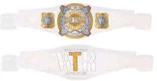 We did not find results for: Wwe Women S Tag Team Wr3d Textures Revolution Facebook