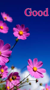 Good Morning Pic Hd 1080p 2225254 Hd Wallpaper Backgrounds Download See more of good morning hd images for download on facebook. good morning pic hd 1080p 2225254