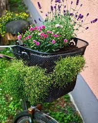 So Kann Man Ein Fahrrad Auch Benutzen Upcycling Fahrrad Bicycle Bike Wiederverwendbar Gartendeko Gardendecor Flow Garten Deko Pflanzen Garten Ideen