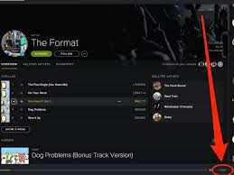 It's annoying that they have removed such an please please please bring back lyrics in spotify, i still don't understand why would they get rid of this. How To Find Song Lyrics On Spotify