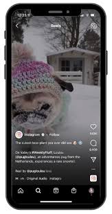 In the text area, enter your post caption, including up to 30 hashtags. How To Tag Someone On Instagram Posts Stories Comments Reels