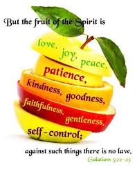 Pin By Dan Evers On I Got Jesus Faith In God Faith Fruit Of The Spirit
