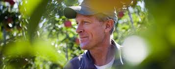 茶色にならない初の遺伝子組み換えリンゴ、米当局が販売認可検討