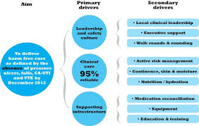 Driver Diagrams Use In Healthcare And Patient Safety How To Communicate Ideas Clinical Leadership Patient Safety Risk Management