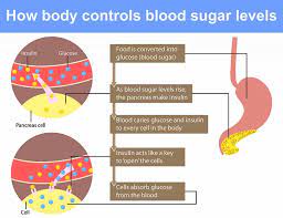 Both carbohydrates and fats, though often cited as carbohydrates are the body's main source of energy. Advantages Of A Low Carb Diet Plus A Free Meal Plan