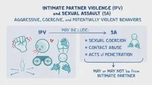 Image result for Intimate Partner Violence