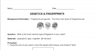 Genetics Fingerprints Lab Pdf Genetics Activities Genetics Heredity