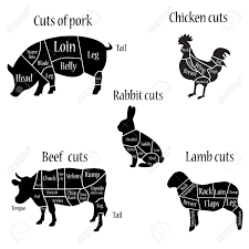 Vector Illustration Lamb Chicken Rabbit Cow And Pork Cuts