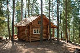 Northwest Log Cabin 12x16 Small Cabin Forum 1 Small Log Cabin Log Cabin Homes Cabins In The Woods