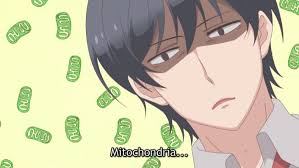 We did not find results for: The Mitochondria Is The Powerhouse Of The Cell Explore Tumblr Posts And Blogs Tumgir