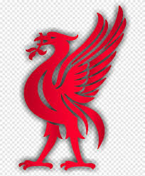The most common liverpool fc png material is metal. Red Bird Illustration Liverpool F C Liver Bird Premier League Macaw Sport Galliformes Png Pngegg