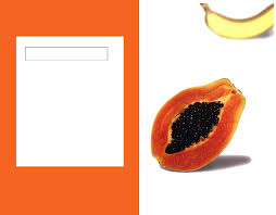 Alissa Shere Double Penetration Photo Set - Good Sex