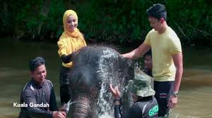 Sempena tahun 2017 ni tahun melawat terengganu. Visit Pahang Year 2017 Official Theme Song Youtube