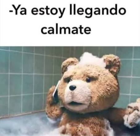 Rey - Seguinos en instagram @reydmeme #meme #memes #memesespañol  #memesenespañol #memesdiarios #mejoresmemes #reydelmeme #memesargentinos  #humor #humorgrafico #comics #fotosgraciosas #yaestoyllegando #calmate # puntualidad #teddy #teddybear | Facebook