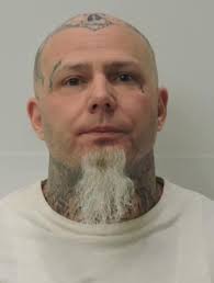 Chase Green Machine Greenlight Mustang Fastback 1:64 Diecast $30 Located in  Anderson SC