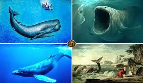 Ikan nun sendiri belum pernah terdefinisi perihal jenisnya. 4 Misteri Ikan Nun Nabi Yunus Yang Masih Hidup Hingga Kini Lensa Indonesia