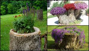 We did not find results for: Turn An Ugly Tree Stump Into A Beautiful Planter Your Projects Obn