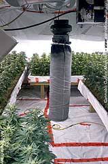 If you are brewing beer you can place your beer in the room to slowly release the co2 into the air. The Ultimate Grow Room Cannabis Culture