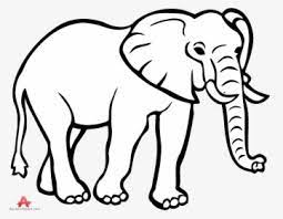 Learn how to draw elephant line pictures using these outlines or print just for coloring. Elephant Drawing Png Images Free Transparent Elephant Drawing Download Kindpng