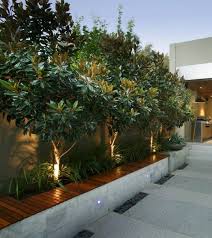 Planting Ideas Front Yard Perth Front Ideas Perth Planting Tropicalgardenidea Front Yard Garden Design Courtyard Gardens Design Outdoor Gardens Design