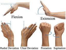 simple solutions for poor wrist mobility invictus fitness