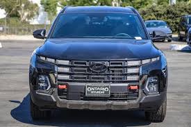 Image result for Phantom Black 2025 Santa Cruz