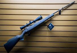 We did not find results for: Weatherby Weathermark 6 5 Wby Rpm Leupold Vx 3i 3 5 10x40
