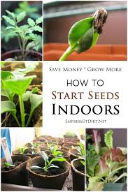 I start my tomato plants six or seven weeks before this date. Seed Starting For Beginners Sow Inside Grow Outside Starting Seeds Indoors Seed Starting Plants