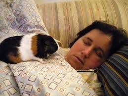 Carmen Connor's Instagram, Twitter & Facebook