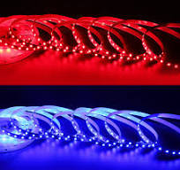DC24V 2835 Two Color Red and Blue LED Strip Lights 840 LEDs
