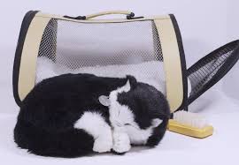 I received the tabby cat and it wasn't working properly. Perfect Petzzz Black White Cat Breathing Sleeping Kitty With Carrier Perfectpetzzz White Cat Cat Clothes Disney Cats