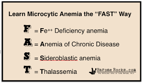 Image result for Microcytic Anemia