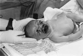 Image result for Face Presentation