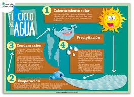 El ciclo del agua consiste en el proceso que sufre el agua, desde evaporación hasta precipitación. Infografia Sobre El Ciclo Del Agua Para Ninos De Primaria