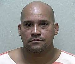 Small marijuana grow operation shut down at Ocala home