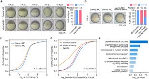 How to fix this dns error in the google chrome browser. Rna Structural Dynamics Regulate Early Embryogenesis Through Controlling Transcriptome Fate And Function Genome Biology Full Text