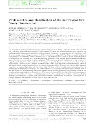 Image result for Odontosoria africana