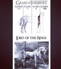 Middle Earth On Instagram Ahahah This Is Really True Middleearth Tolkien Lotr Lordofthering Hobbit Memes Lord Of The Rings The Hobbit