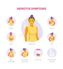 Most people who are infected recover completely with no permanent liver damage. Symptome Von Hepatitis A Vektor Abbildung Illustration Von Konzept 64375283