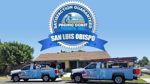 When we called o'connor pest control, they did such a good job of educating us about the issue, causes of it and out options for solutions. Termite Company San Luis Obispo County Ca A Rating Bbb