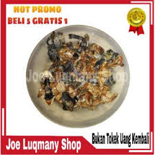 Bila lupa godok nya sampai kering lebih baik di buang. Jamu Godok Rebus Godog Komplit Herbal Tradisional Ampuh Shopee Indonesia