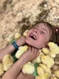 Does anyone know what construction companies take