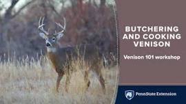 Venison 101: Hands-On Butchering, Processing, and Cooking