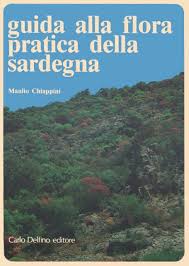 Fiori gialli spontanei primaverili from i.pinimg.com. Versione Pdf Sardegna Digitallibrary