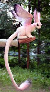 Community Wall Photos Vk Baby Animals Pictures Cute Baby Animals Cute Animals